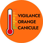 vignette c
